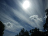 IMGP9359.JPG