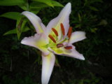 IMGP5856.JPG