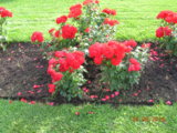 DSCN6301.JPG