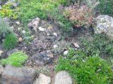 IMG_20160831_181405.jpg
