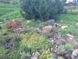 IMG_20160831_181703.jpg