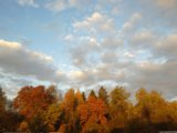 IMG_20161001_072214.jpg