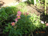 DSCN6351.JPG
