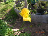 DSCN6364.JPG