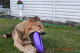 DSC_1734.JPG