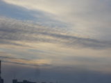 IMGP1608.JPG