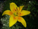 IMGP7918.jpg