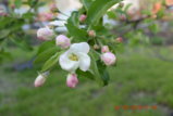 DSC_0269.JPG