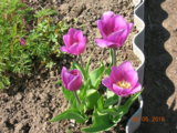 DSCN5911.JPG