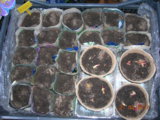 DSCN6719.JPG