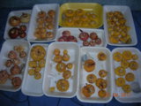DSCN6720.JPG