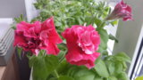 20170425_154435.jpg