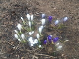 DSC00371.JPG