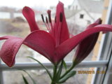 IMG_2555.JPG