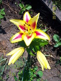 100_6171.JPG