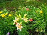 100_8832.JPG