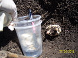 100_3106.JPG