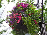 0_8bca9_75c5604a_XL.jpg