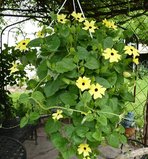 0_8bdae_94095cb3_XL.jpg