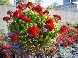 4. Коувола, прогулка по городу (7).jpg