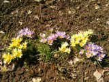 IMG_20170430_142818.jpg