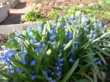 DSCN6742.JPG