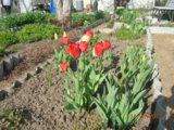 DSCN6796.JPG