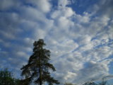 IMGP3034.JPG