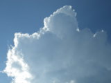 IMGP3380.JPG