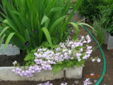 DSCN6882.JPG