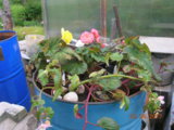 DSCN6900.JPG