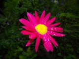 IMGP3864.JPG