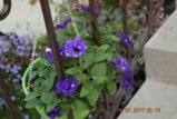 DSC_3439.JPG