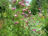 DSCN6984.JPG