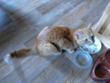 IMG_20170725_155744.jpg