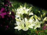 DSCN7028.JPG