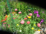DSCN7022.JPG