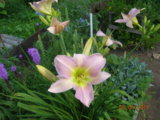 DSCN7075.JPG