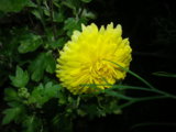 IMGP5400.JPG