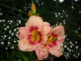 IMGP5735.JPG