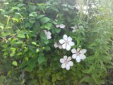 IMG_20170818_073815.jpg