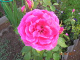 DSCN7167.JPG