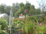 DSCN7269.JPG