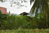DSC_4266.JPG