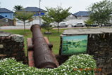 DSC_4196.JPG