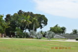 DSC_4217.JPG