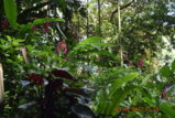 DSC_4351.JPG