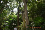 DSC_4352.JPG
