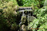 DSC_4412.JPG