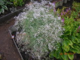 DSCN7329.JPG